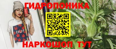 spice Донецк