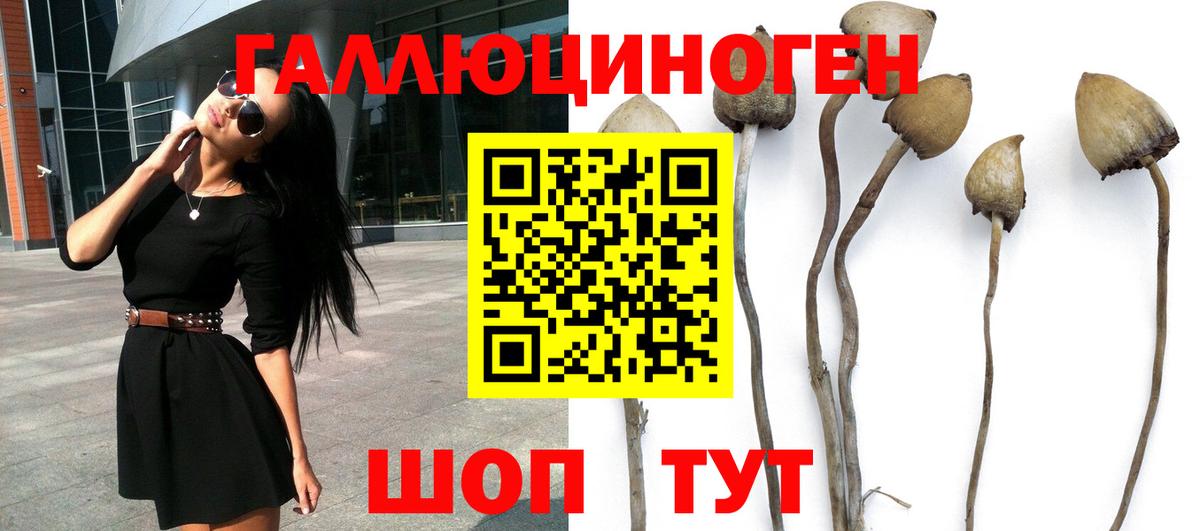 Псилоцибиновые грибы Magic Shrooms Кыштым